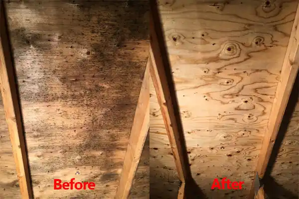 water damage restoration service Maringouin